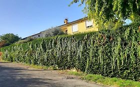 Ma Maison Fleurie Proche Aeroport Lyon St Exupery, Ldlc Arena, Groupama Stadium,Eurexpo